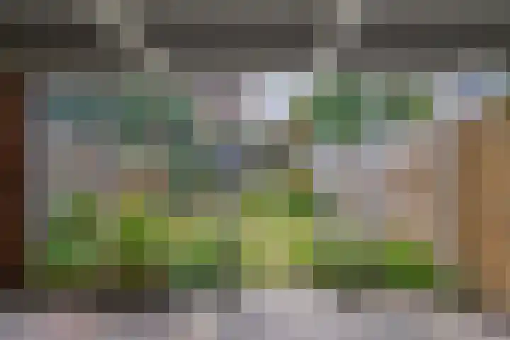 Fok 20 Huizen thumbnail 12
