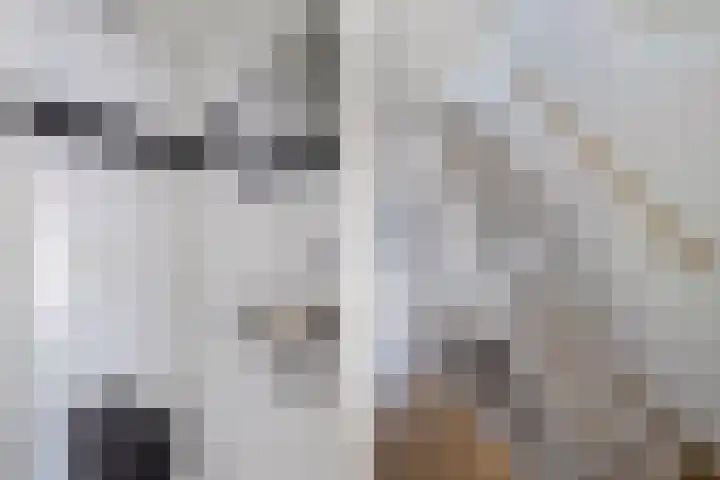 Fok 20 Huizen thumbnail 18
