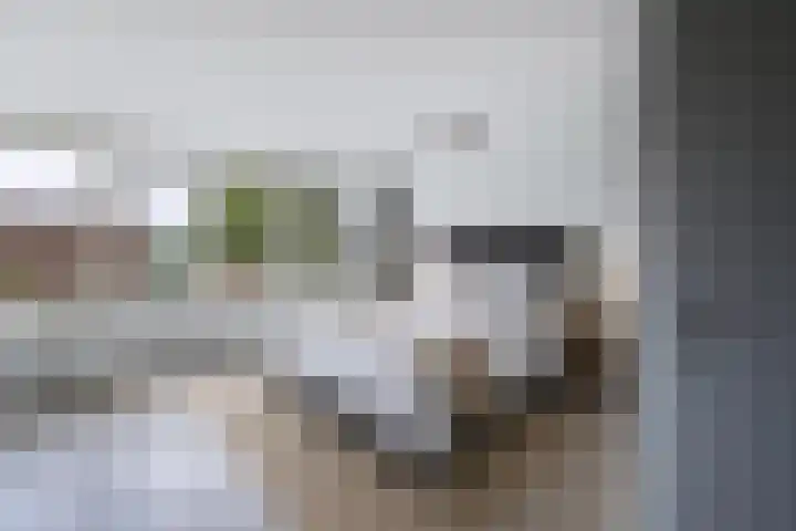 Fok 20 Huizen thumbnail 34