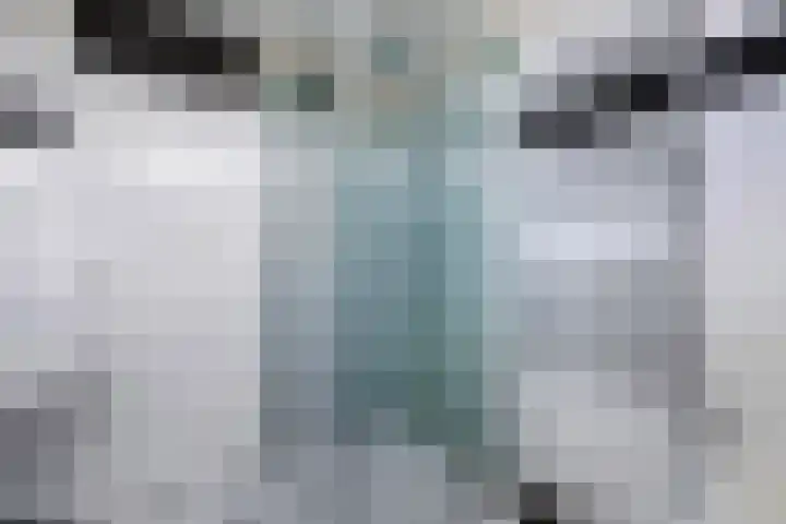 Fok 20 Huizen thumbnail 40
