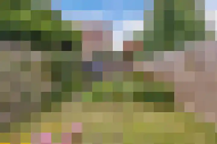 Fok 20 Huizen thumbnail 43