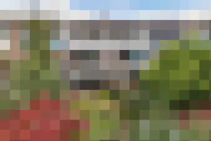 Fok 20 Huizen thumbnail 44