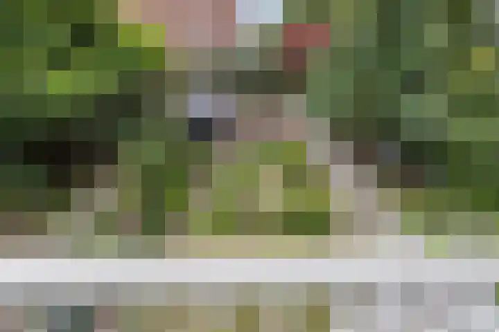 Fok 20 Huizen thumbnail 45