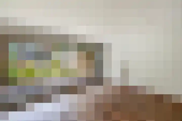 Fok 20 Huizen thumbnail 7