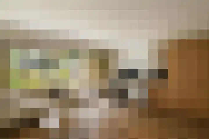 Fok 20 Huizen thumbnail 8