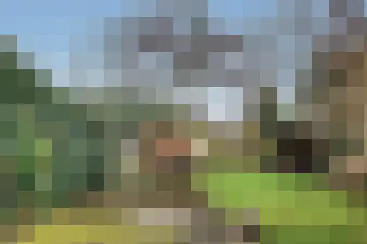 Fok 29 Heerenveen thumbnail 60