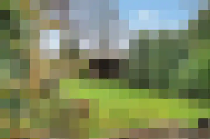 Fok 29 Heerenveen thumbnail 61
