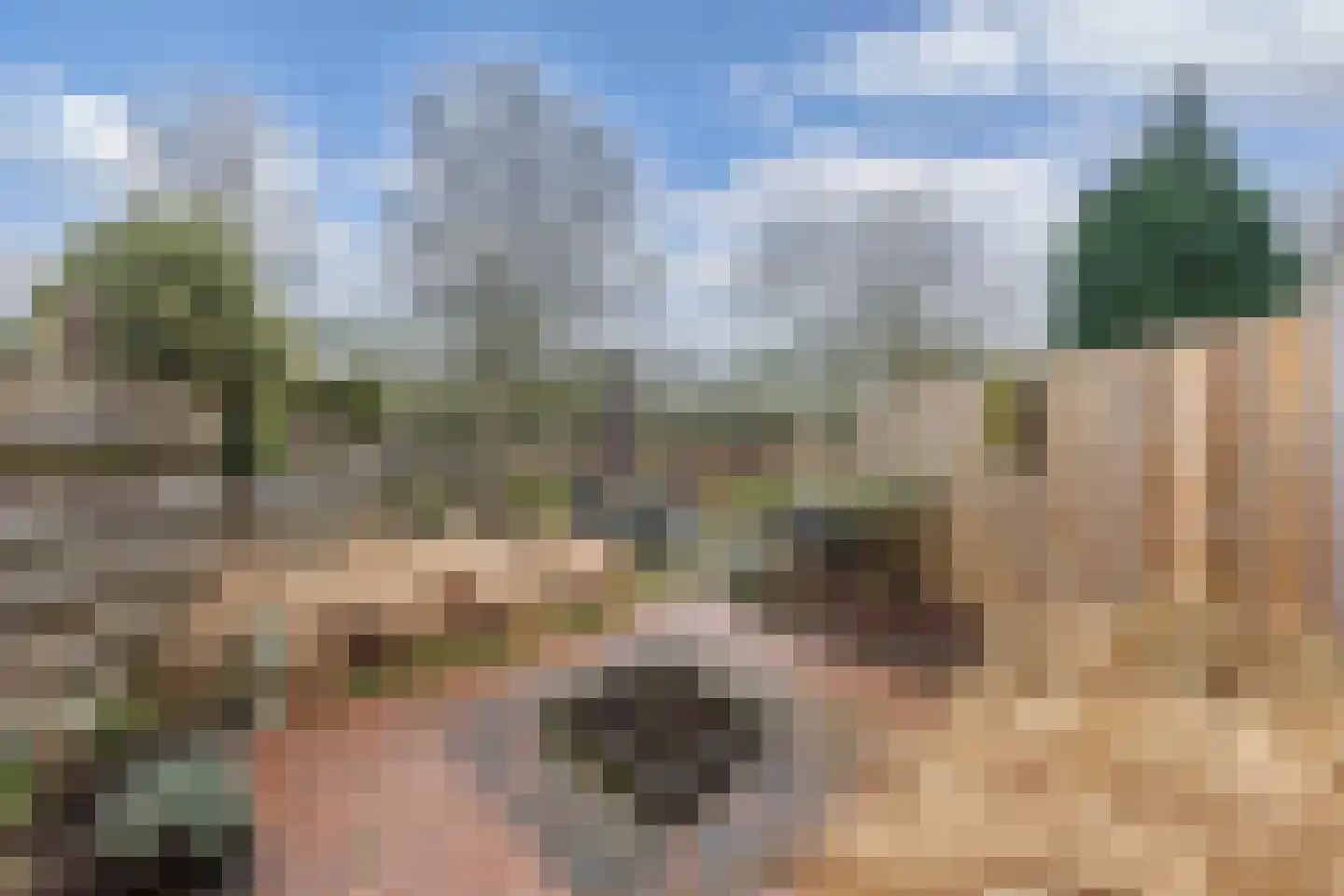 Fok 36 Huizen thumbnail 14
