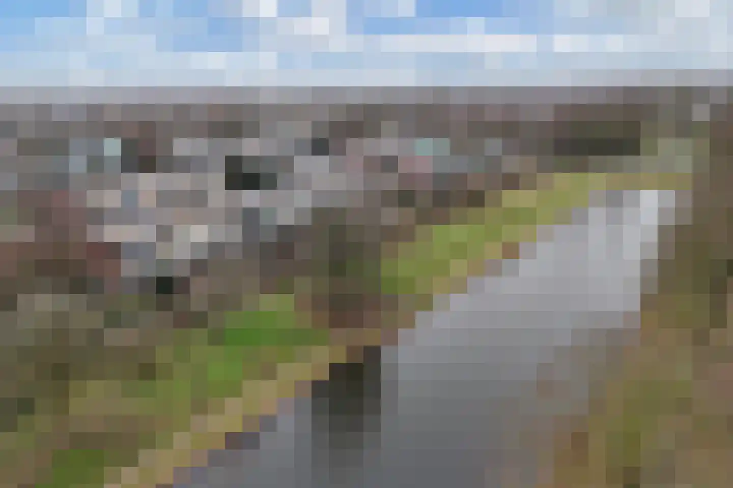 Fok 36 Huizen thumbnail 17