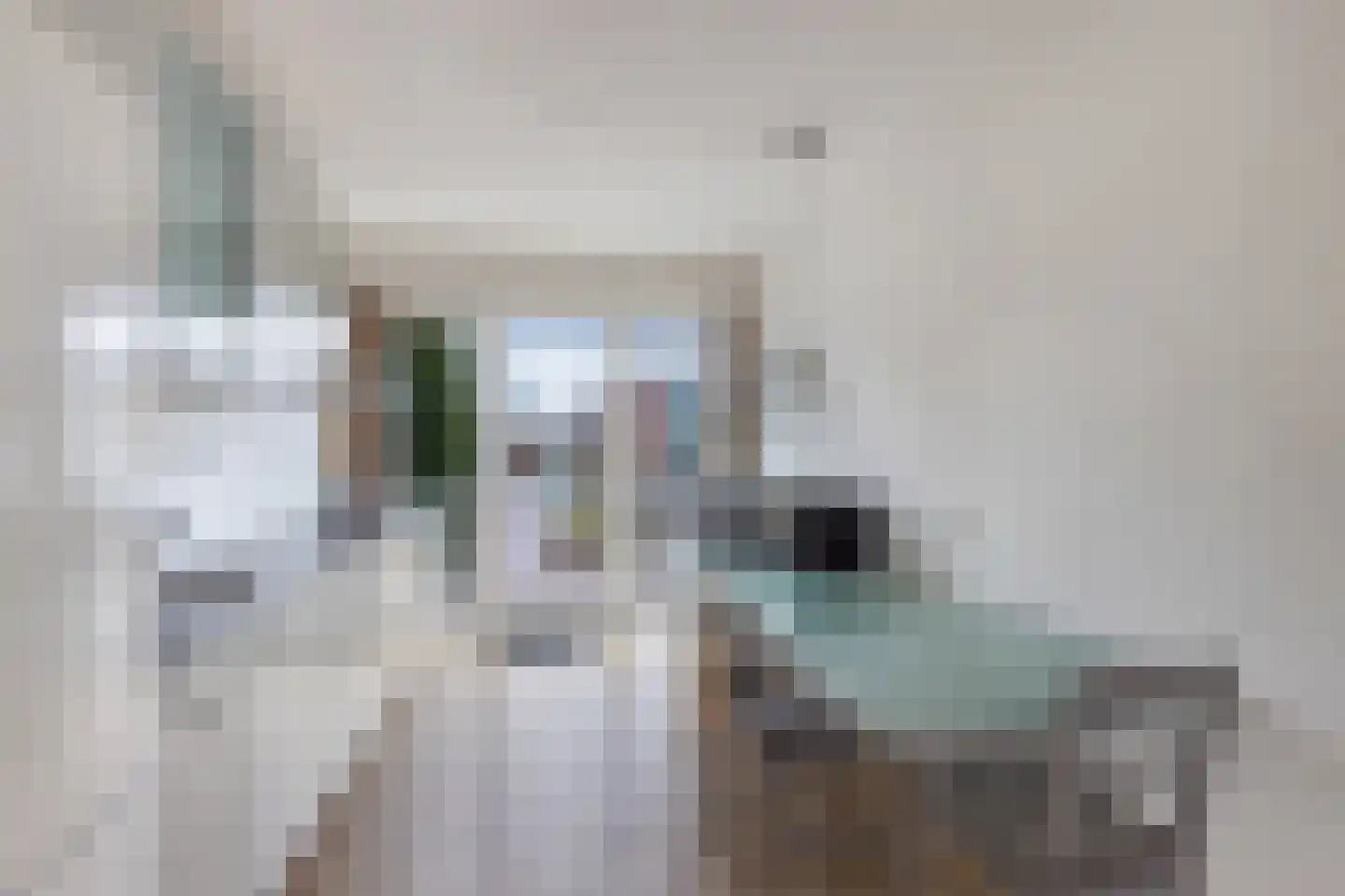 Fok 36 Huizen thumbnail 26