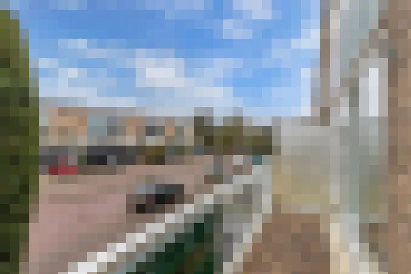 Fok 36 Huizen thumbnail 30