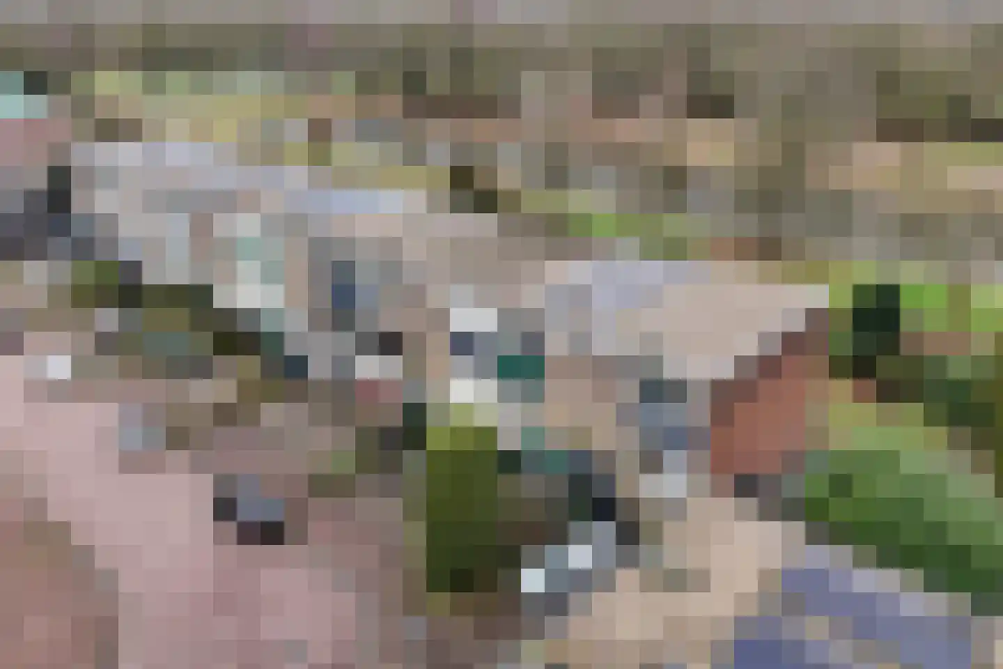 Fok 36 Huizen thumbnail 6