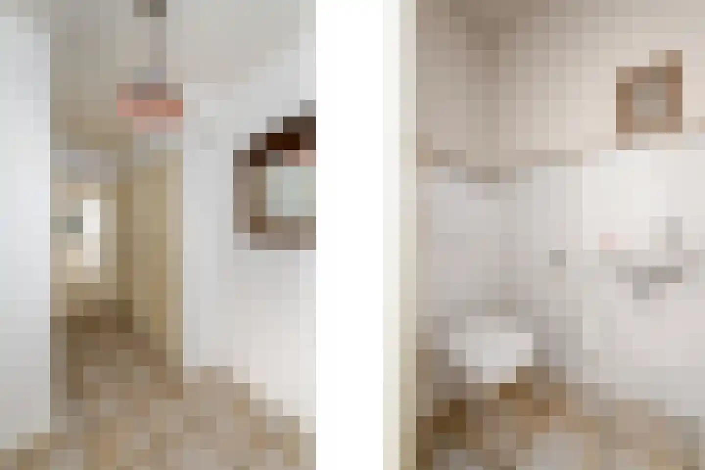 Fok 4 Joure thumbnail 15