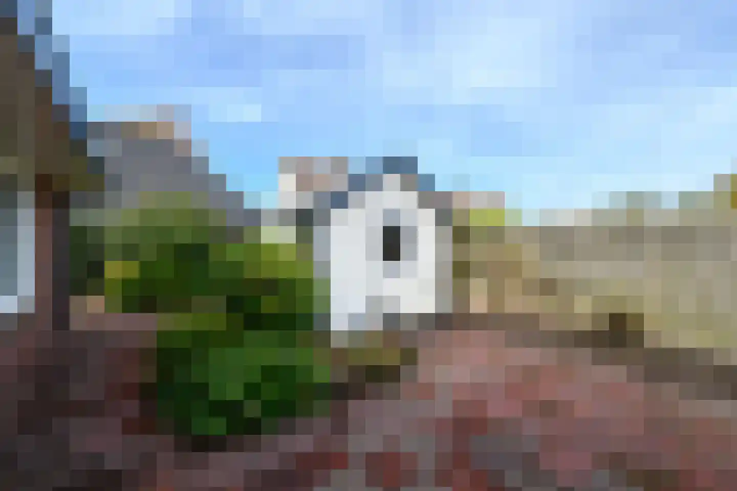 Fok 4 Joure thumbnail 32