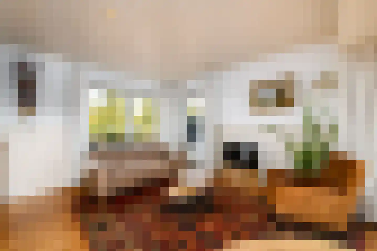 Fok 4 Joure thumbnail 8