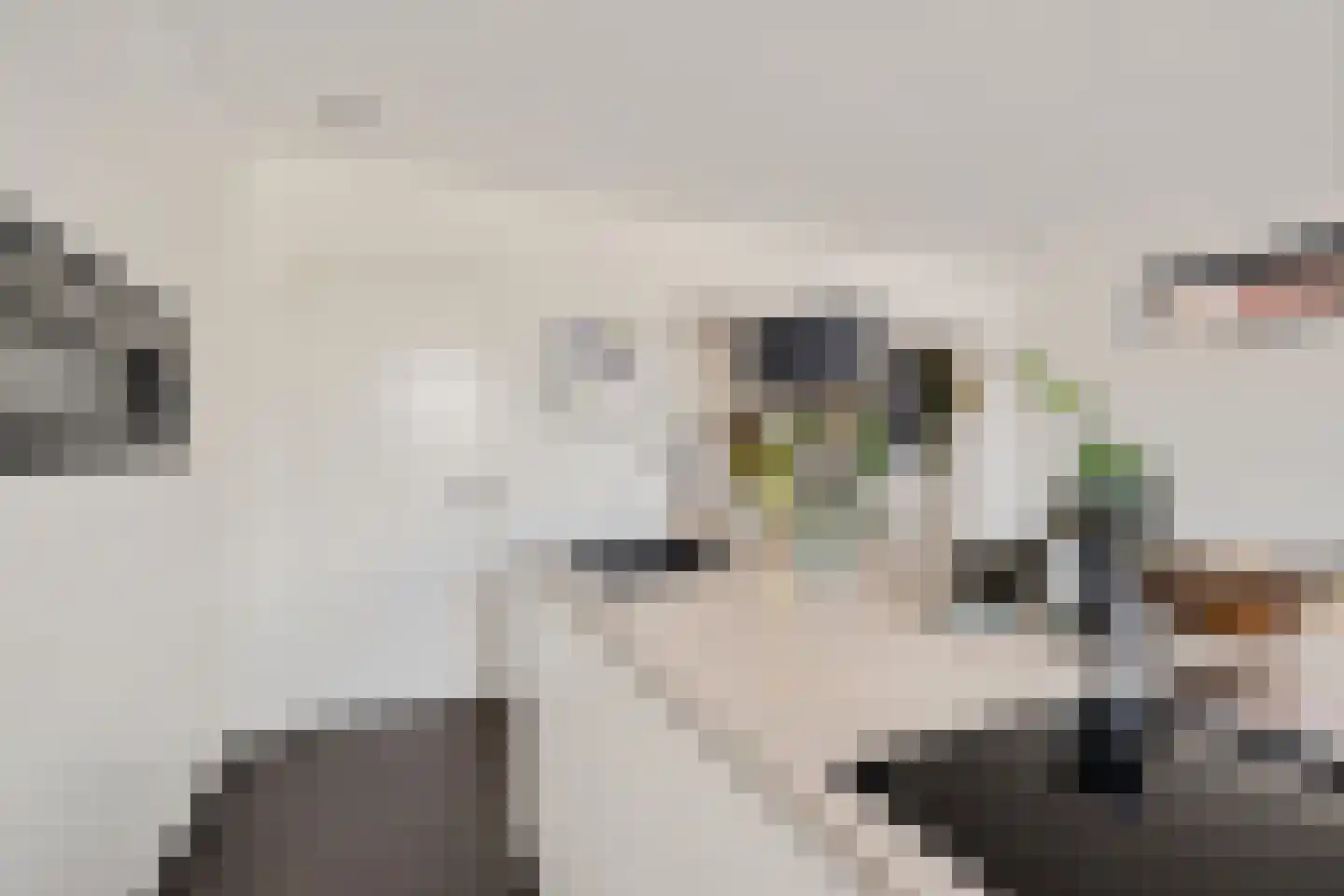 Fok 6 Heerenveen thumbnail 21