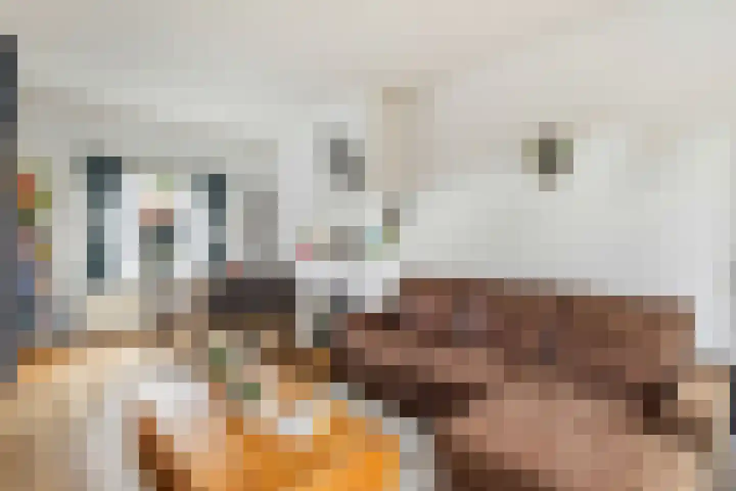 Fokke Bleekerstraat 3 Bussum thumbnail 4
