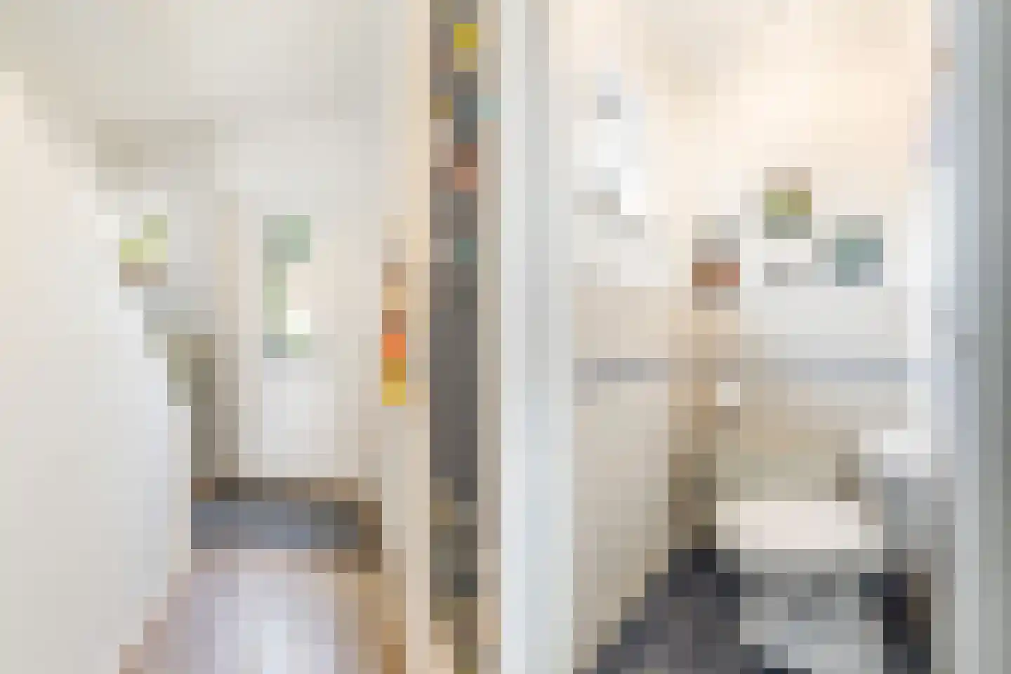 Fokke Bleekerstraat 3 Bussum thumbnail 9