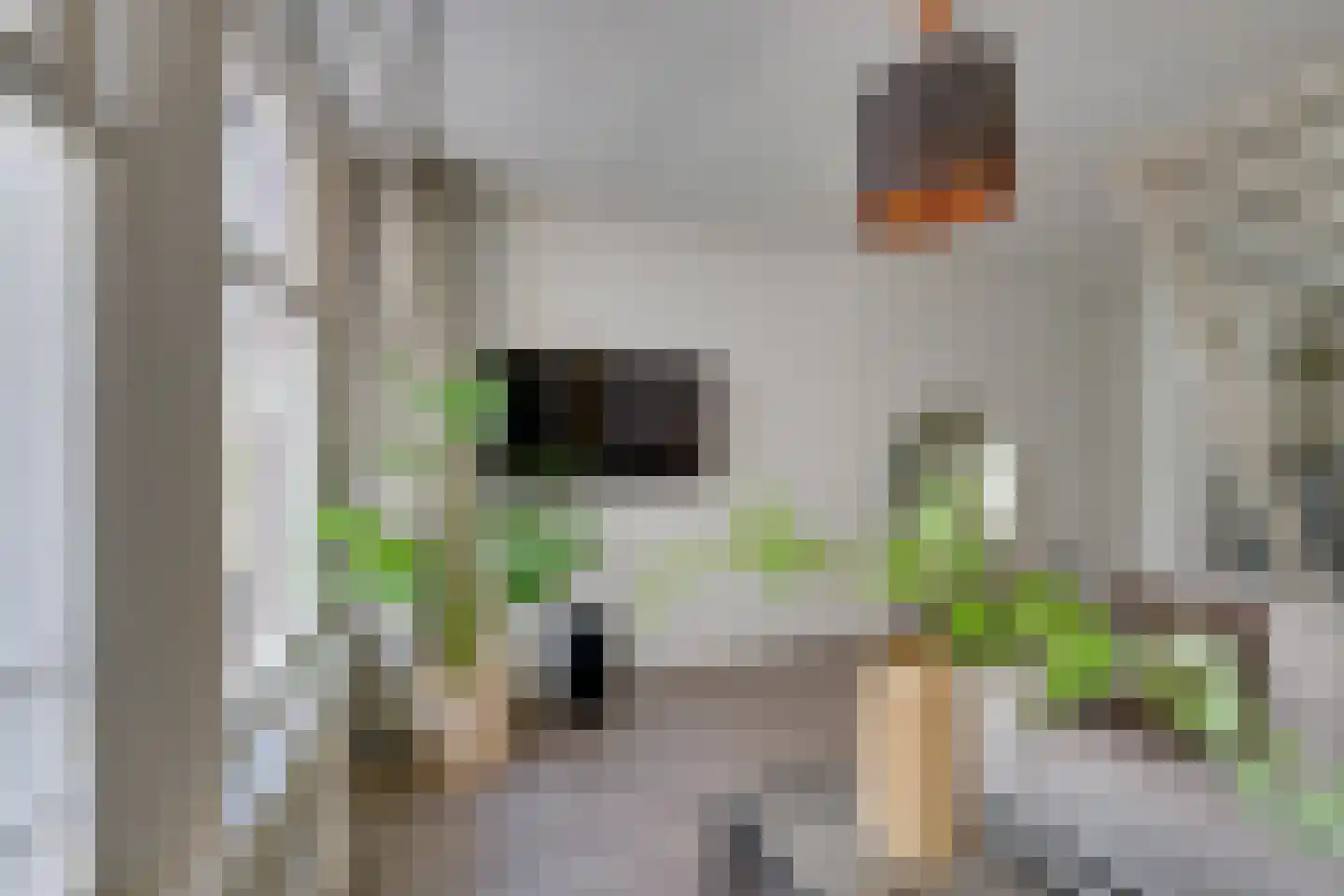 Fokke Simonszstraat 16 1 Amsterdam thumbnail 7