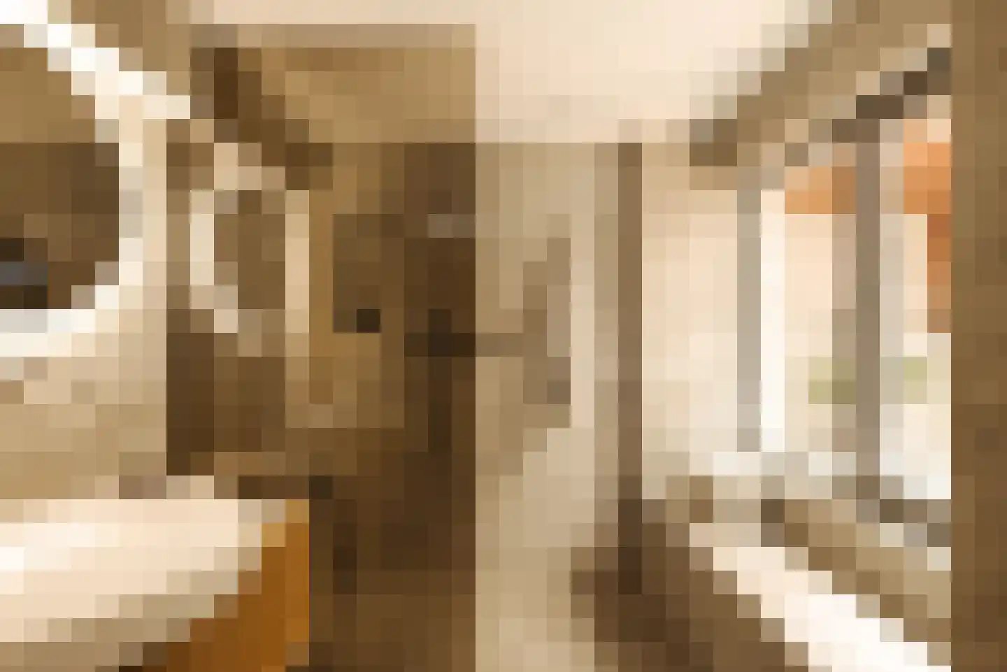 Fokke Simonszstraat 18 H Amsterdam thumbnail 17