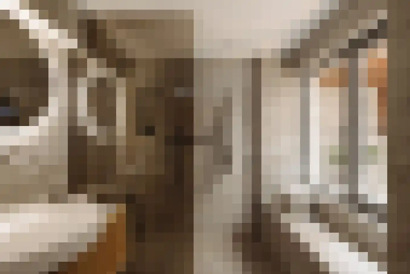 Fokke Simonszstraat 18 H Amsterdam thumbnail 17