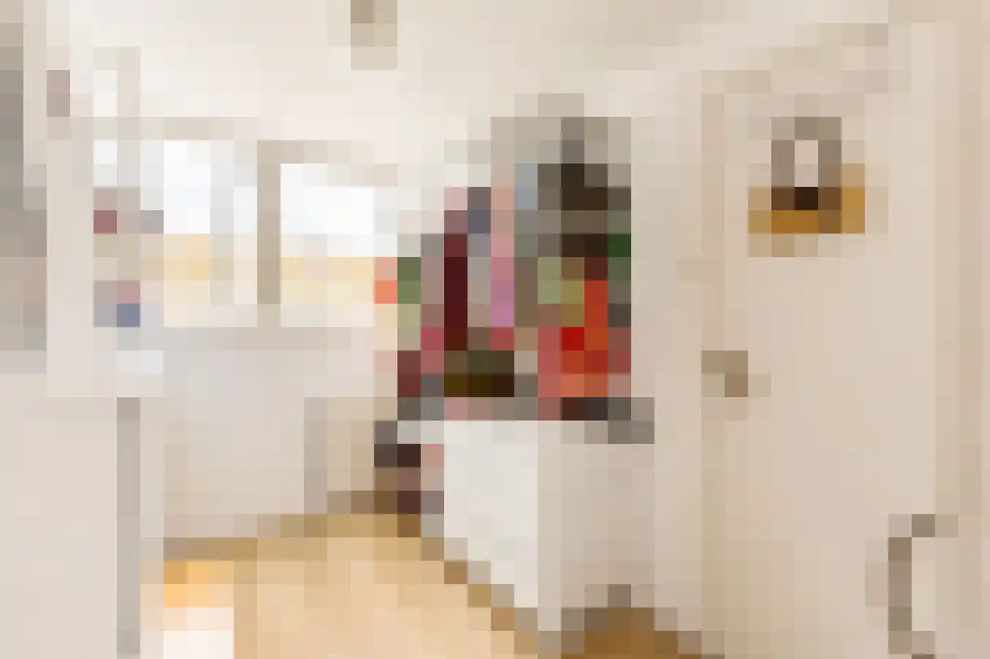 Fokke Simonszstraat 27 3 Amsterdam thumbnail 19