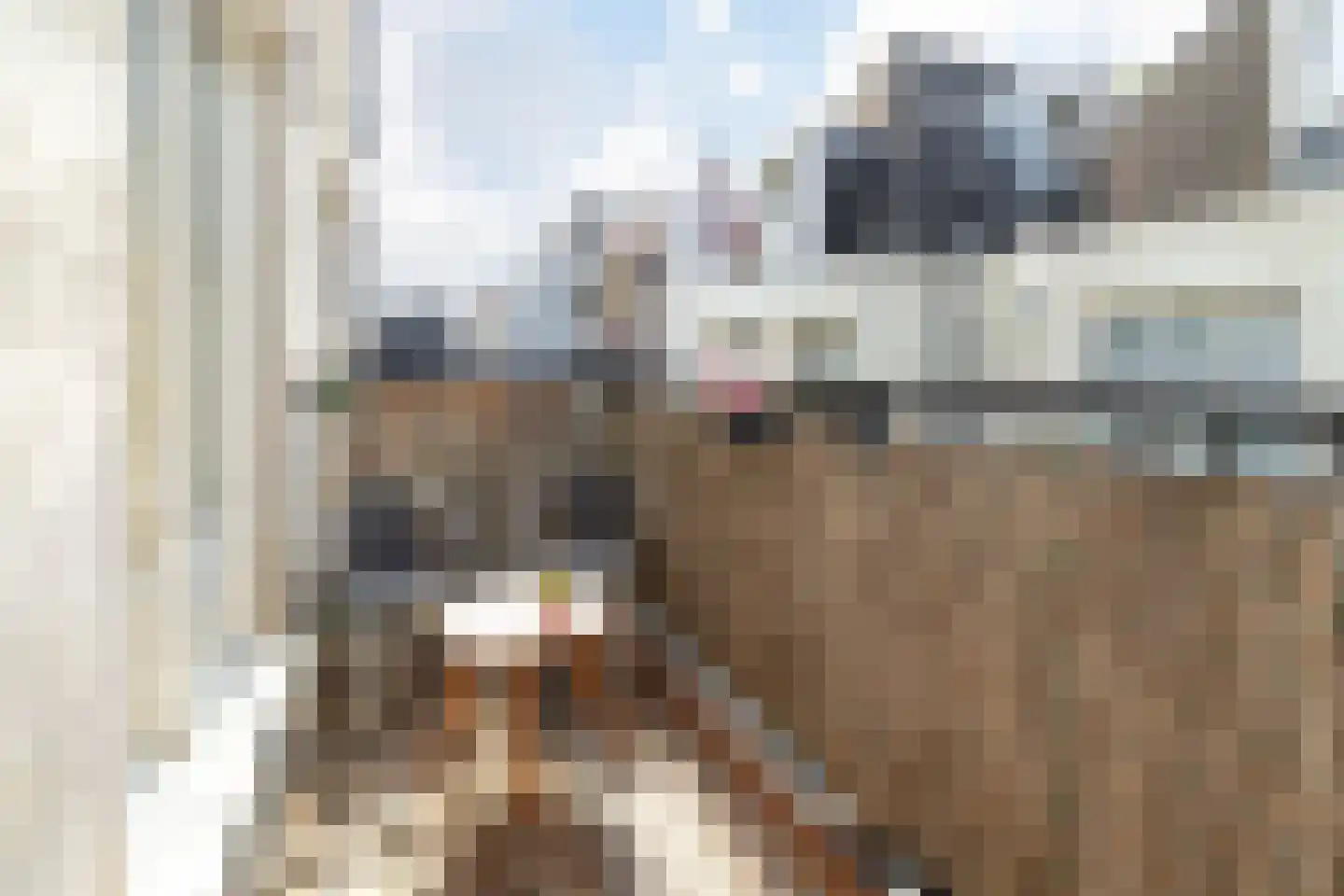 Fokke Simonszstraat 40 3 Amsterdam thumbnail 7
