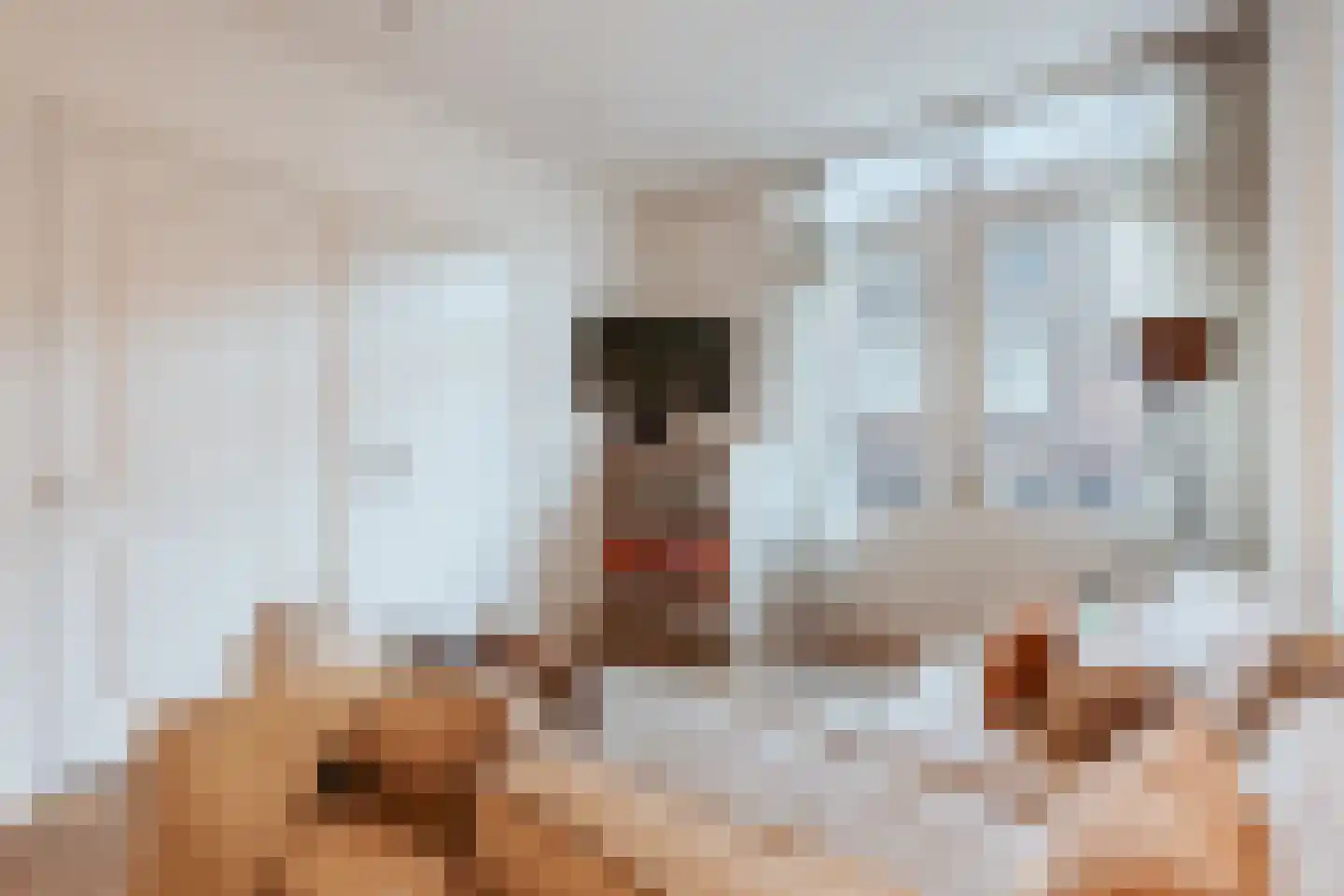 Fokke Simonszstraat 40 H Amsterdam thumbnail 22