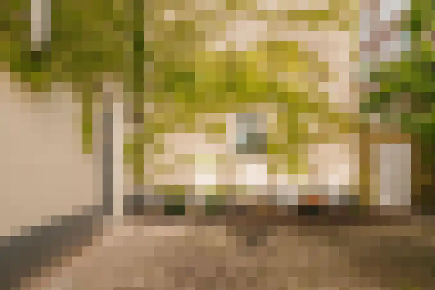 Fokke Simonszstraat 6 1 Amsterdam thumbnail 12