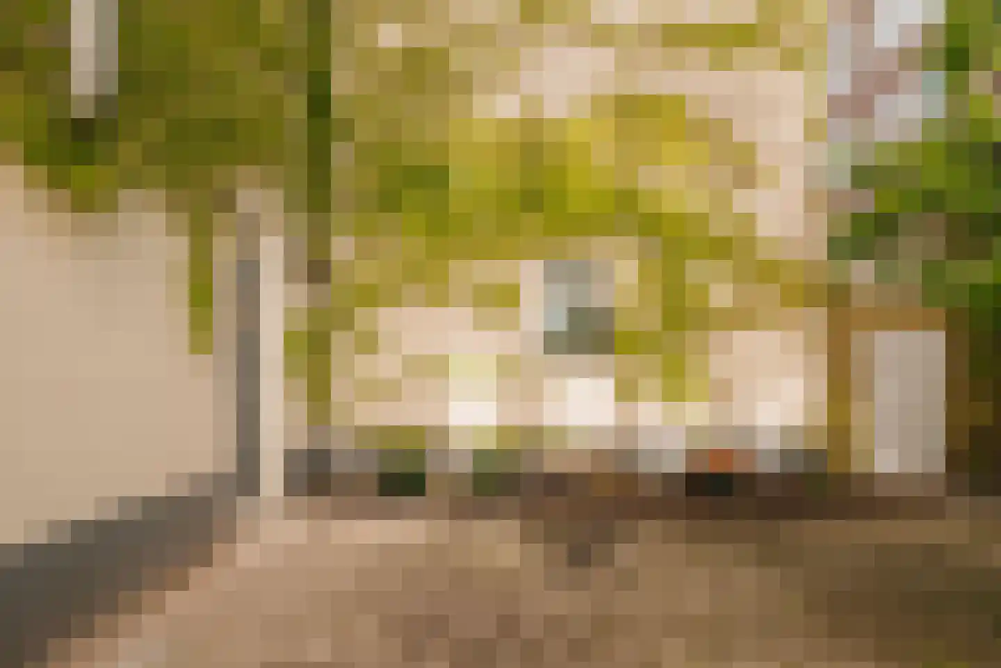 Fokke Simonszstraat 6 1 Amsterdam thumbnail 12