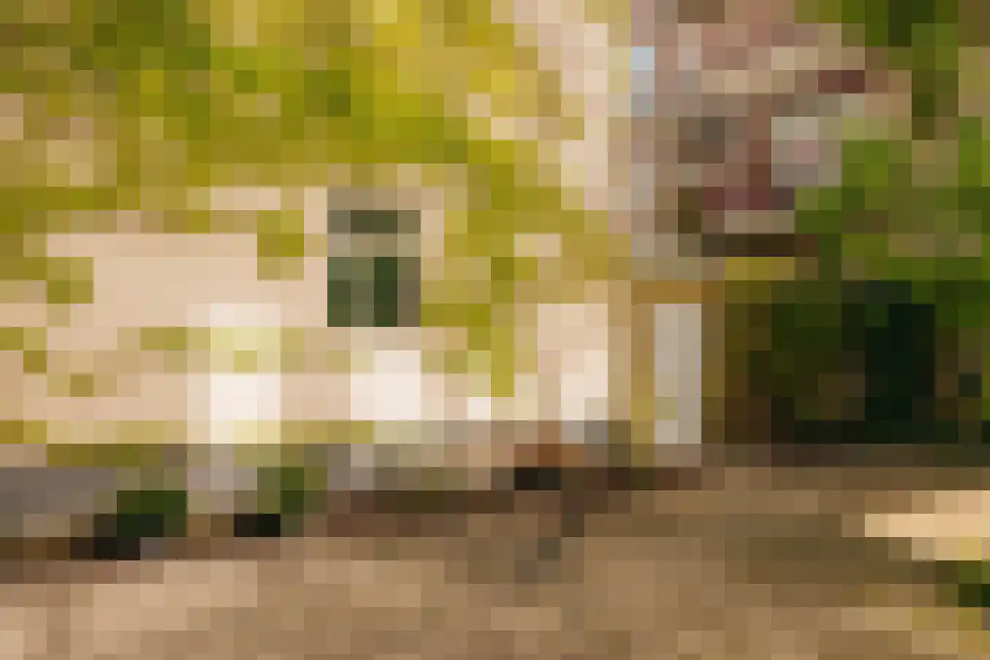 Fokke Simonszstraat 6 2 Amsterdam thumbnail 13