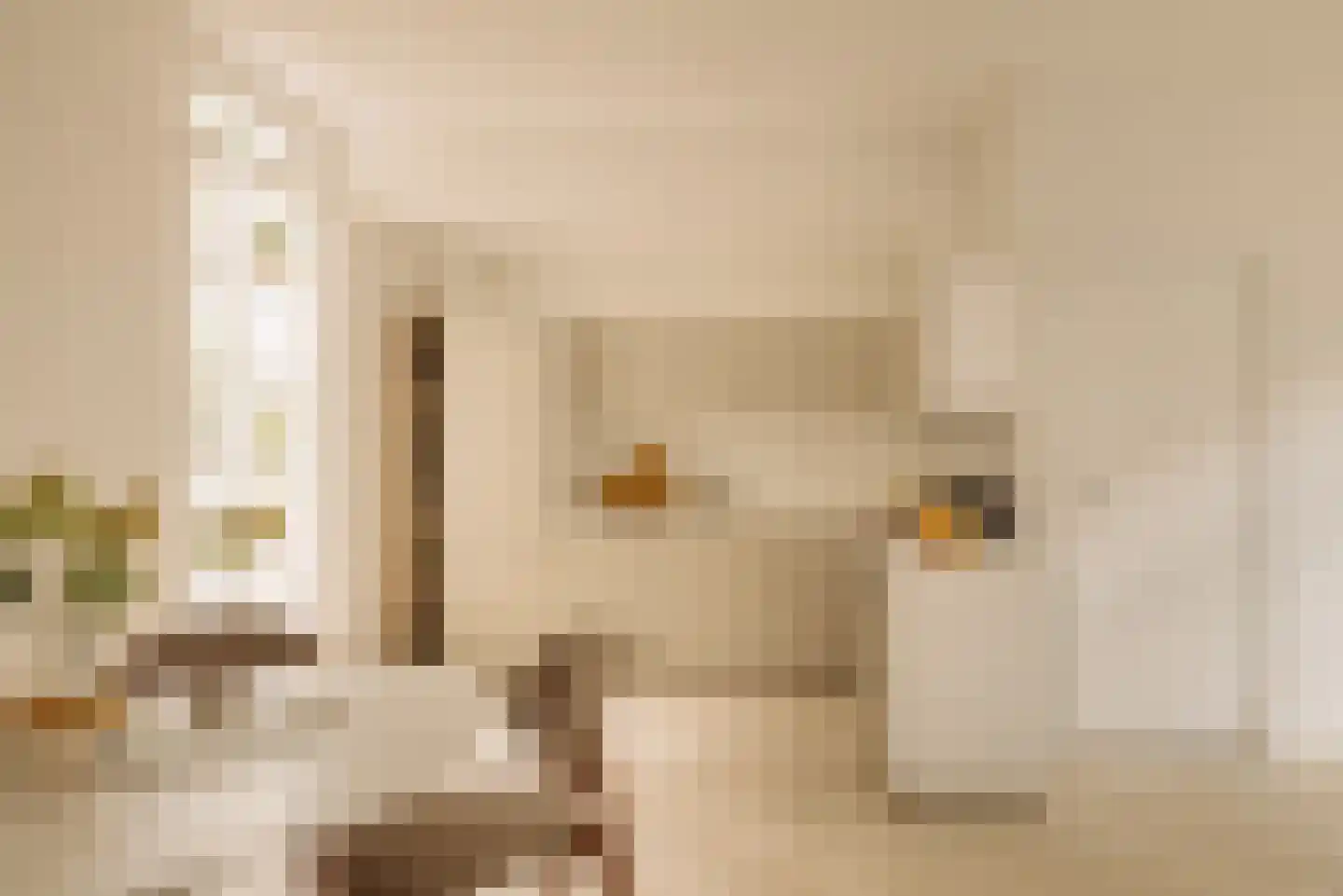 Fokke Simonszstraat 6 2 Amsterdam thumbnail 8