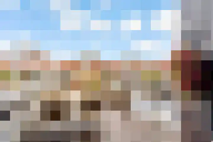 Fokkeboom 16 Almere thumbnail 13