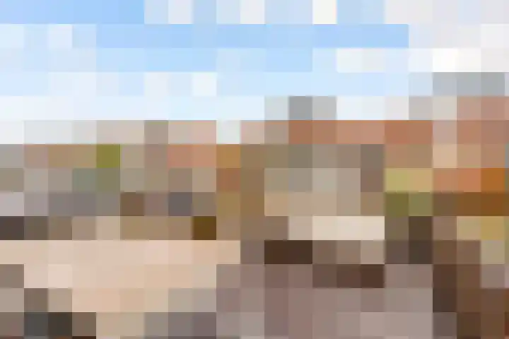 Fokkeboom 16 Almere thumbnail 14