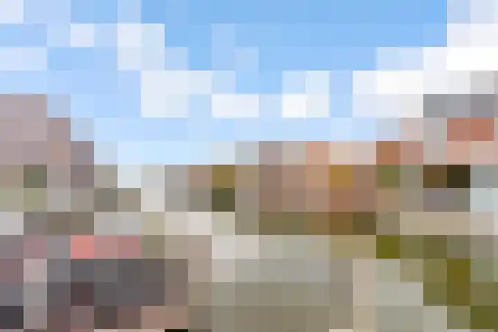 Fokkeboom 16 Almere thumbnail 15