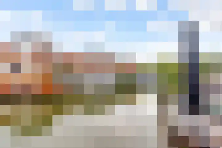 Fokkeboom 16 Almere thumbnail 16