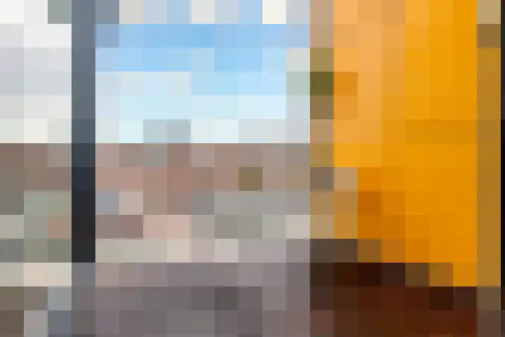 Fokkeboom 16 Almere thumbnail 21