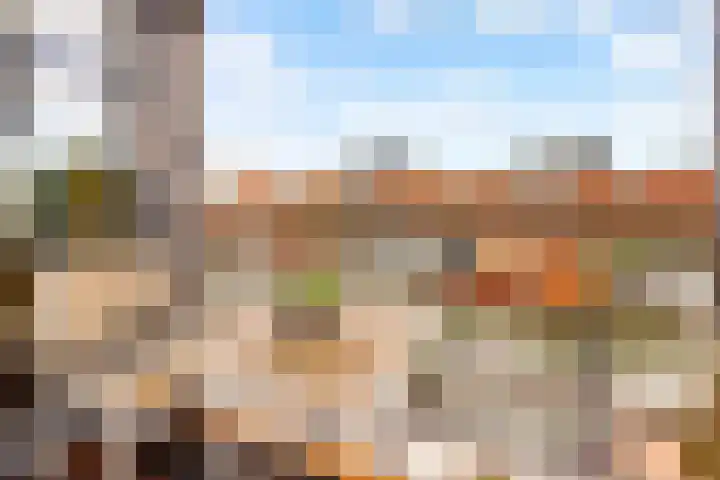 Fokkeboom 16 Almere thumbnail 22