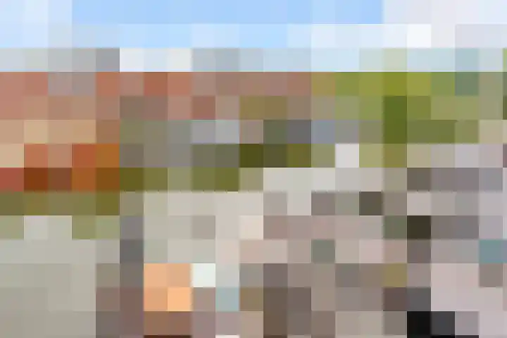 Fokkeboom 16 Almere thumbnail 23