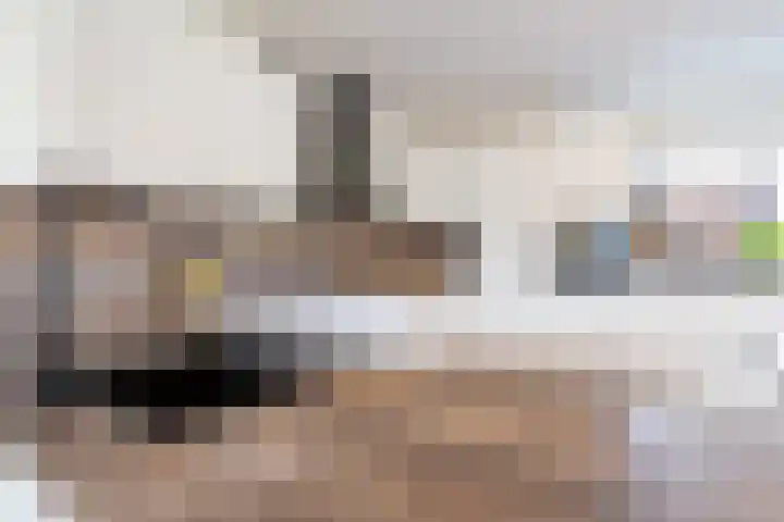 Fokkeboom 16 Almere thumbnail 28