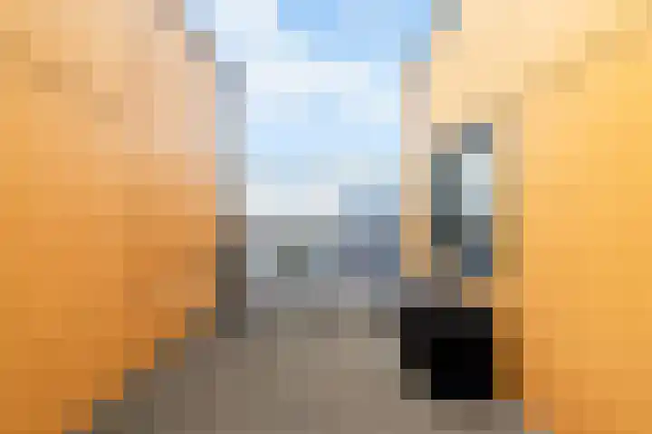 Fokkeboom 16 Almere thumbnail 40
