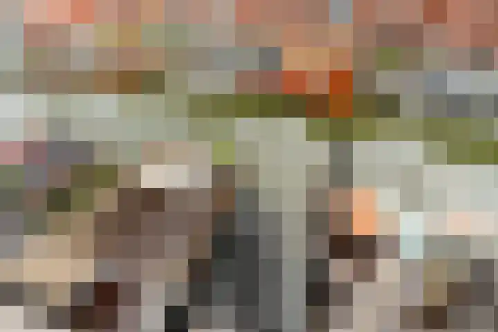 Fokkeboom 16 Almere thumbnail 42