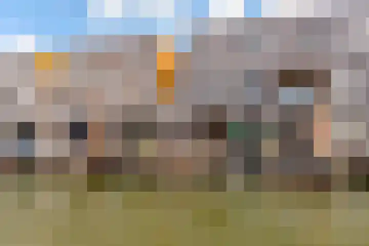 Fokkeboom 16 Almere thumbnail 45