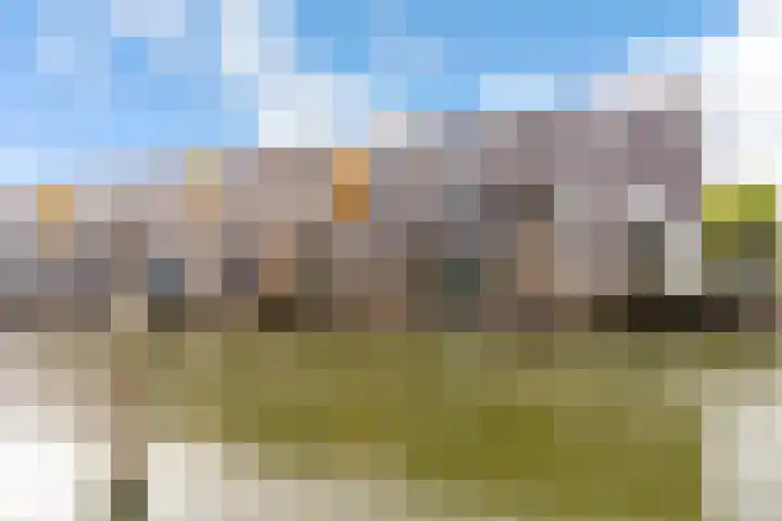 Fokkeboom 16 Almere thumbnail 46