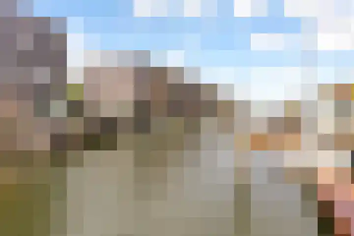 Fokkeboom 16 Almere thumbnail 47