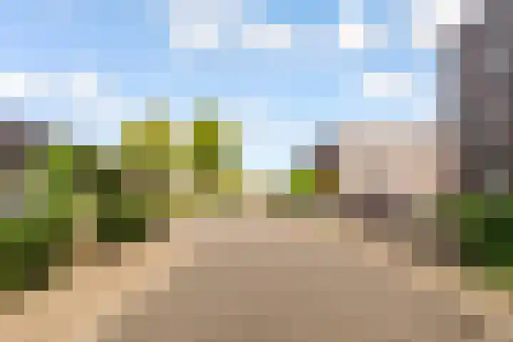 Fokkeboom 16 Almere thumbnail 48