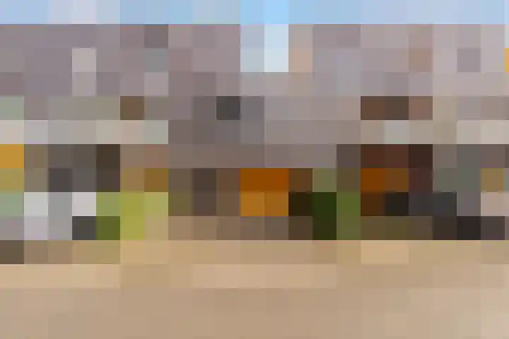 Fokkeboom 16 Almere thumbnail 49