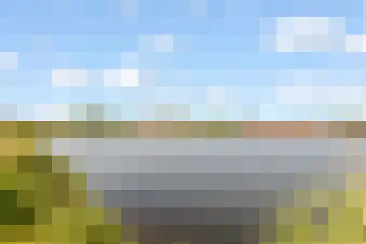 Fokkeboom 16 Almere thumbnail 50