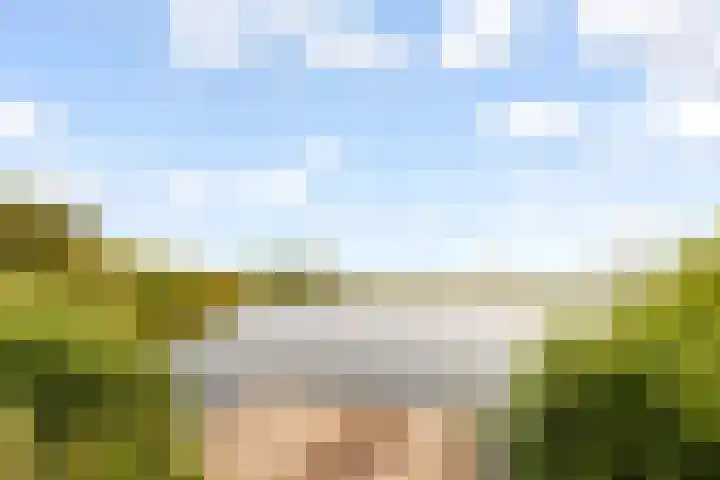 Fokkeboom 16 Almere thumbnail 51
