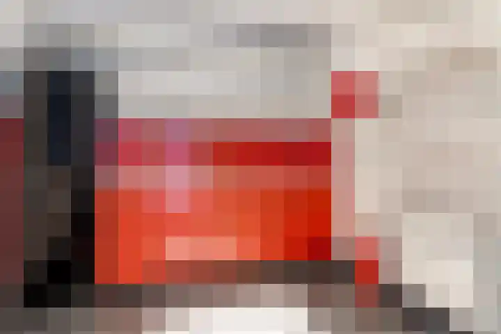 Fokkeboom 16 Almere thumbnail 6